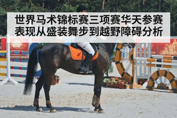 世界马术锦标赛三项赛华天参赛表现从盛装舞步到越野障碍分析 | kaiyun